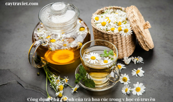 Read more about the article Công dụng chữa bệnh của trà hoa cúc trong y học cổ truyền