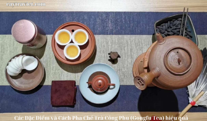 Read more about the article Các Đặc Điểm và Cách Pha Chế Trà Công Phu (Gongfu Tea) hiệu quả