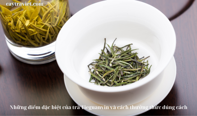 Read more about the article Những điểm đặc biệt của trà Tieguanyin và cách thưởng thức đúng cách