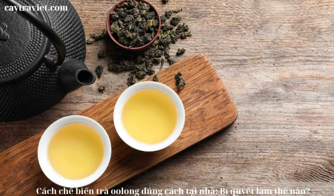 Read more about the article Cách chế biến trà oolong đúng cách tại nhà: Bí quyết làm thế nào?