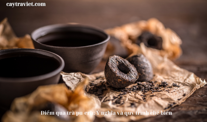 Read more about the article Điểm qua trà pu-erh: Ý nghĩa và quy trình chế biến