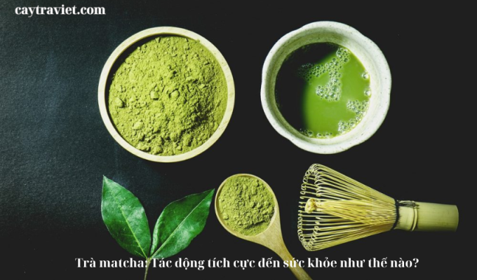 Read more about the article Trà matcha: Tác động tích cực đến sức khỏe như thế nào?