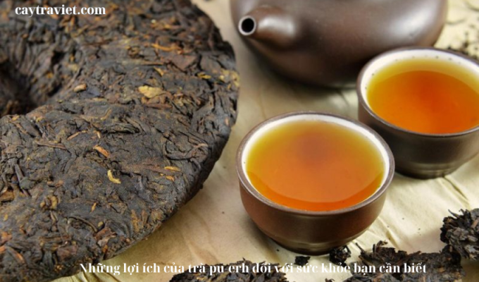 Read more about the article Những lợi ích của trà pu-erh đối với sức khỏe bạn cần biết