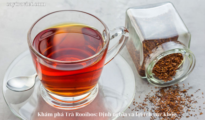 Read more about the article Khám phá Trà Rooibos: Định nghĩa và lợi ích sức khỏe