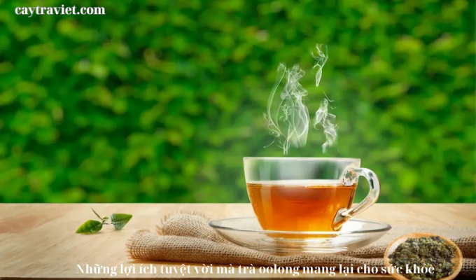 Read more about the article Những lợi ích tuyệt vời mà trà oolong mang lại cho sức khỏe