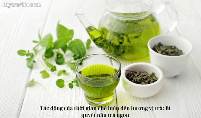 Read more about the article Tác động của thời gian chế biến đến hương vị trà: Bí quyết nấu trà ngon