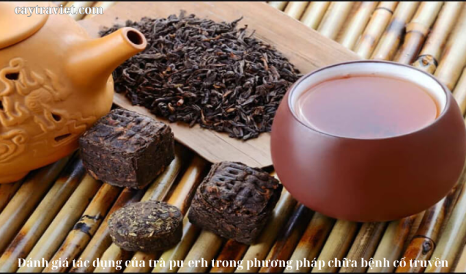 Read more about the article Đánh giá tác dụng của trà pu-erh trong phương pháp chữa bệnh cổ truyền