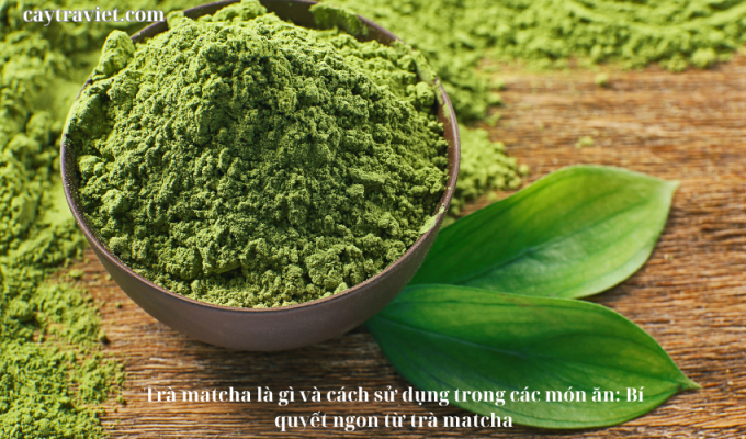 Read more about the article Trà matcha là gì và cách sử dụng trong các món ăn: Bí quyết ngon từ trà matcha