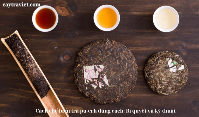 Read more about the article Cách chế biến trà pu-erh đúng cách: Bí quyết và kỹ thuật