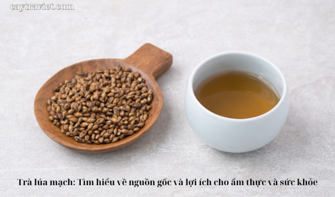 Read more about the article Trà lúa mạch: Tìm hiểu về nguồn gốc và lợi ích cho ẩm thực và sức khỏe