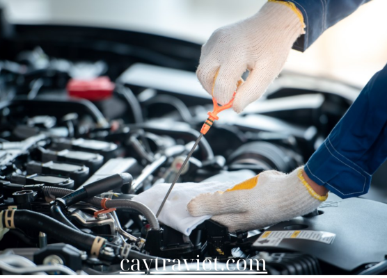 Read more about the article Vehicle Care Basics: Fundamental Tips for Keeping Your Car in Top Shape