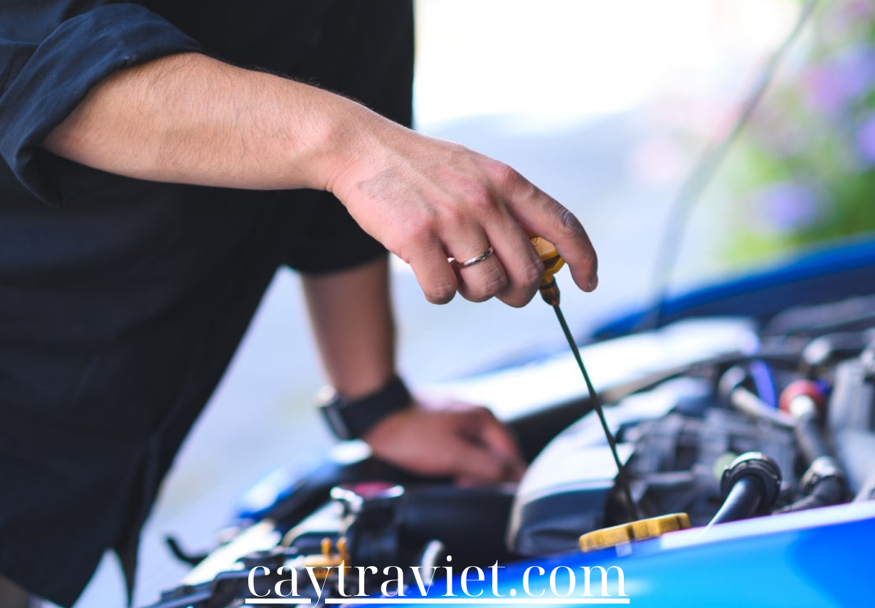 Read more about the article Critical Vehicle Care: Must-Know Strategies for Optimal Car Maintenance